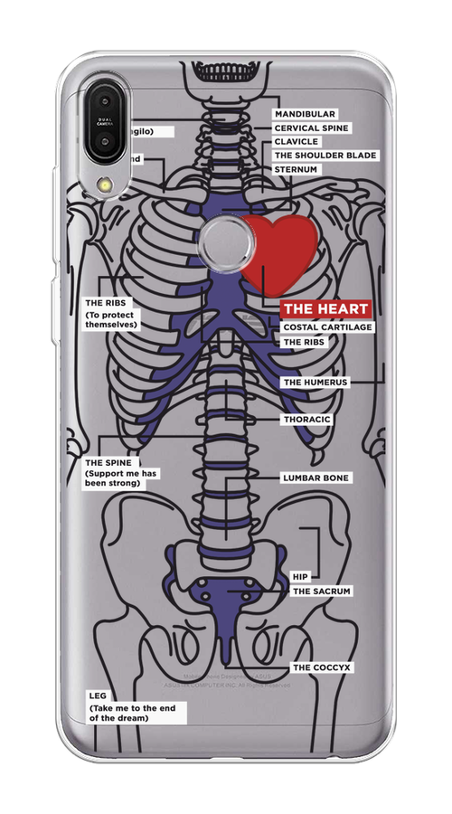 

Чехол на Asus ZenFone Max Pro ZB602KL "Скелет человека", Прозрачный;синий;красный, 43550-1