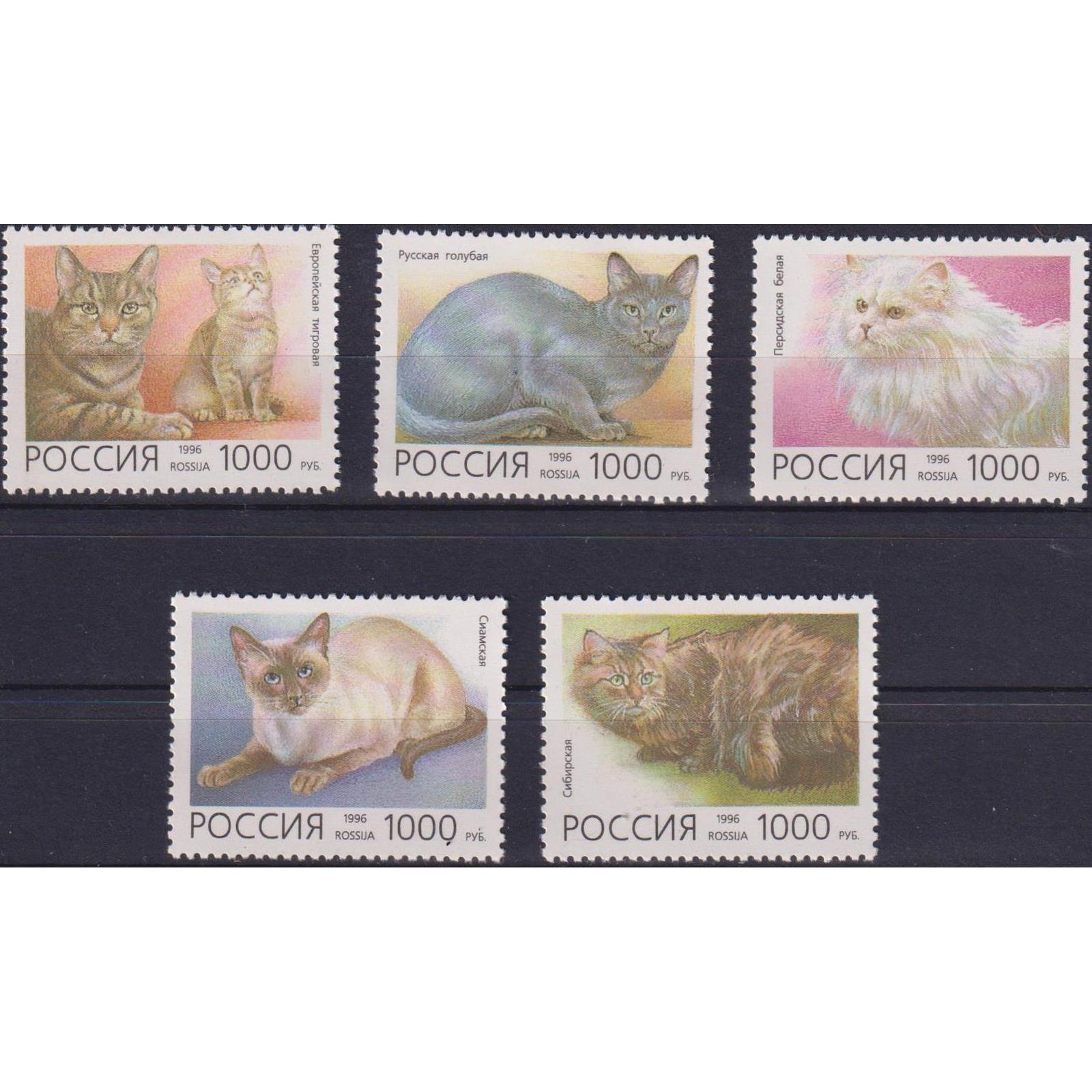 

Почтовые марки Россия Домашние кошки Кошки, Домашние кошки, ru266