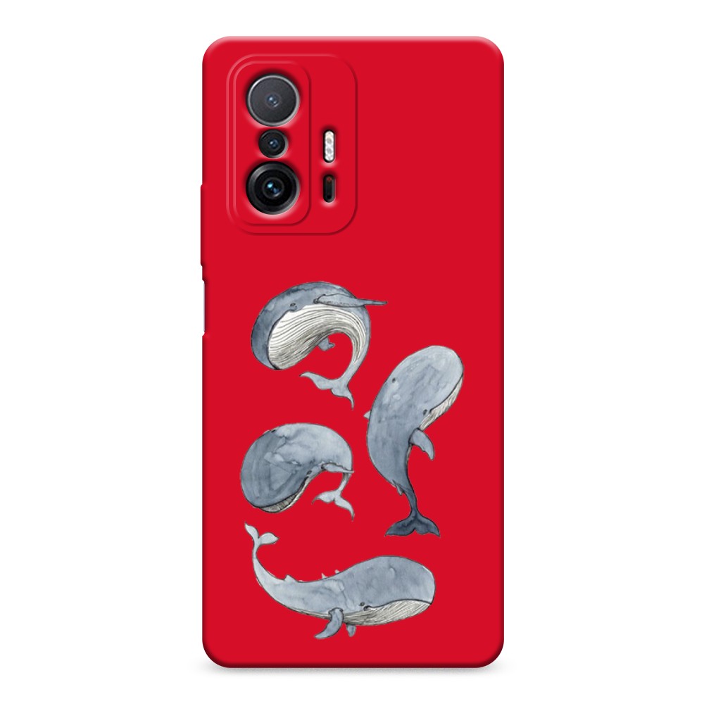 

Чехол Awog на Xiaomi Mi 11T/11T Pro "Киты", Разноцветный, 313753-1