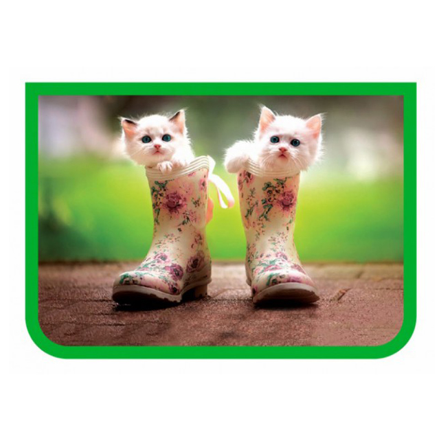 

Папка для труда А4 прозрачный пластик, Зеленый