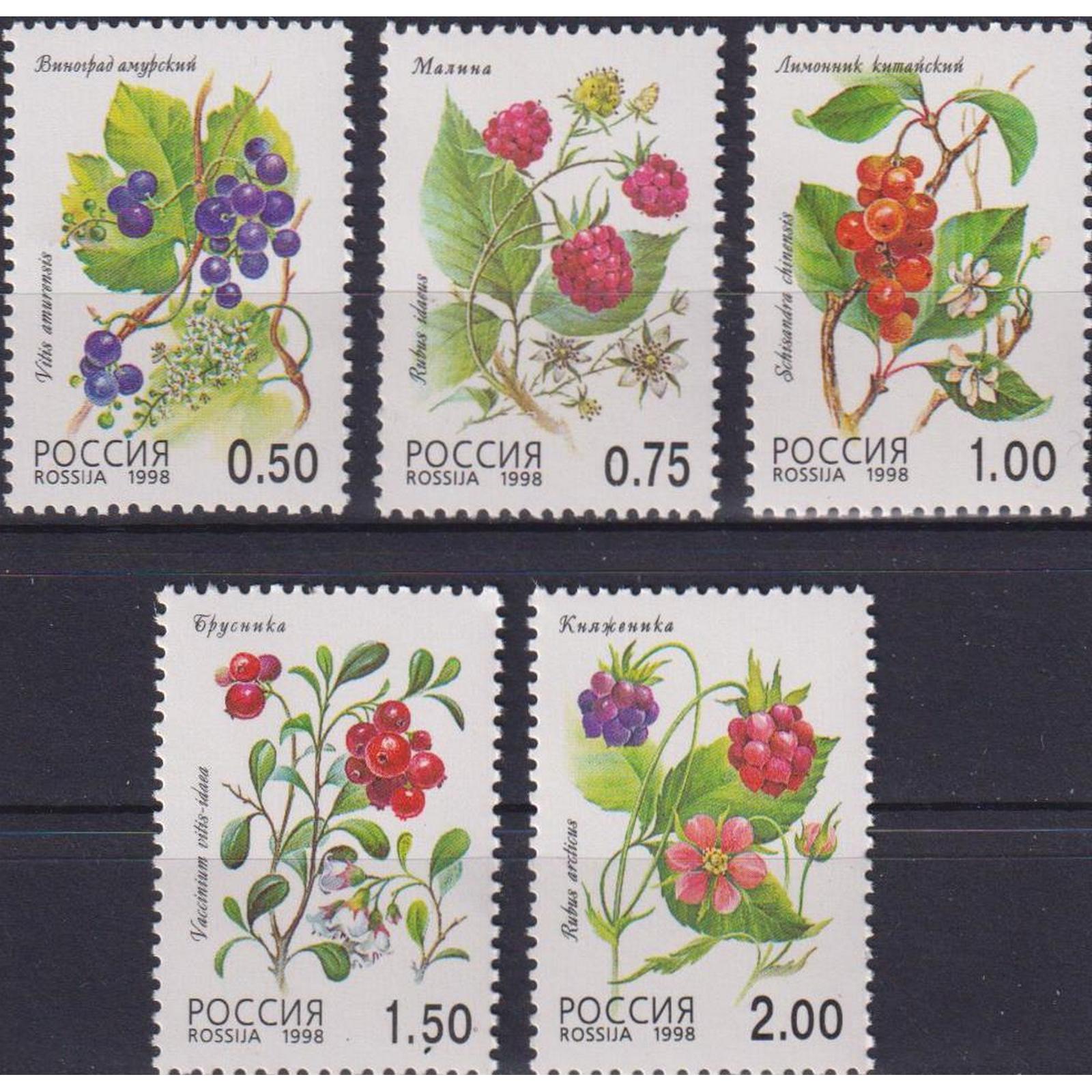 

Почтовые марки Россия Флора. Лесные ягоды Флора, Ягоды, ru447