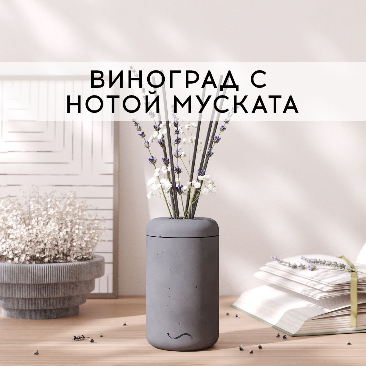 

Аромадиффузор MUSKO HOME 100 мл Виноград и мускат в бетонной вазе Esther