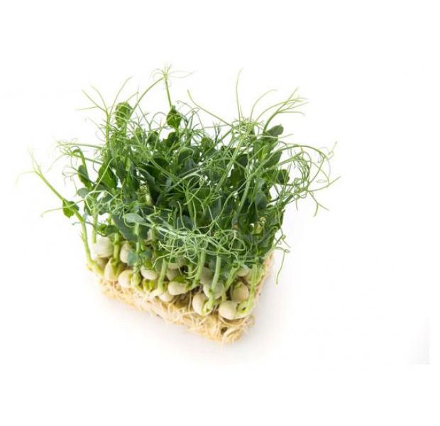 

Микрозелень 2B Fresh горох 150 г