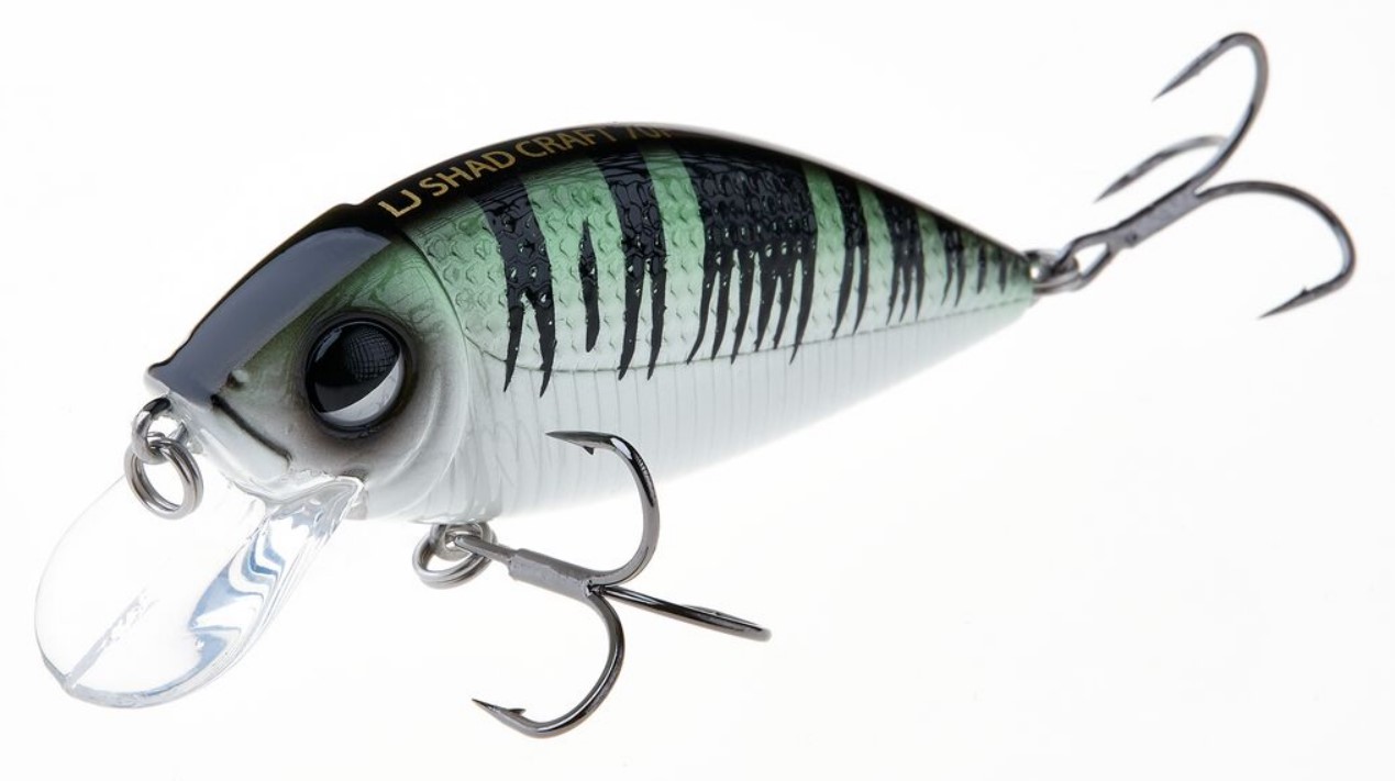 

Воблер плав. LJ Original SHAD CRAFT F 07.00/A024, Зеленый;черный, Original Shad Craft F