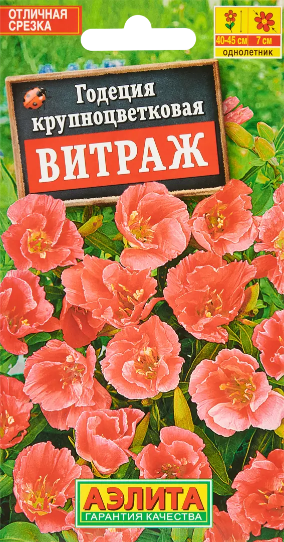 

Семена годеция Витраж Аэлита SSS-86405475 1 уп.