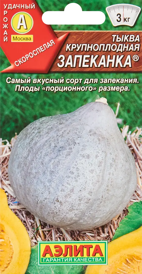 

Семена тыква Запеканка Аэлита SSS-86405646 1 уп.
