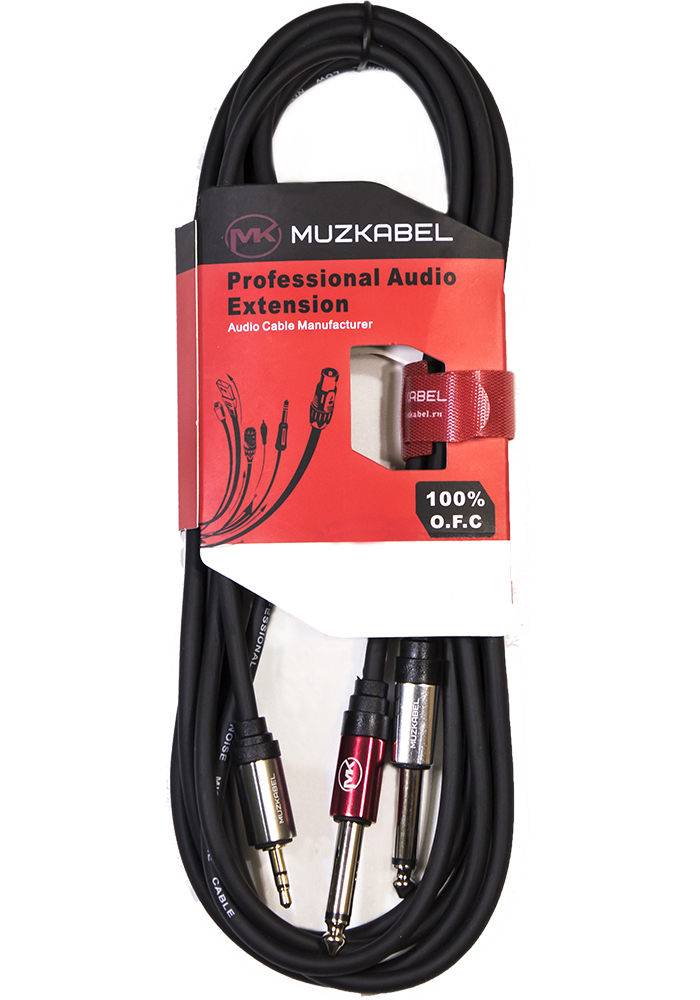 

Аудио кабель MUZKABEL EYC011 - 1 метр, MINI JACK (stereo) - 2 JACK, Черный, EYC01