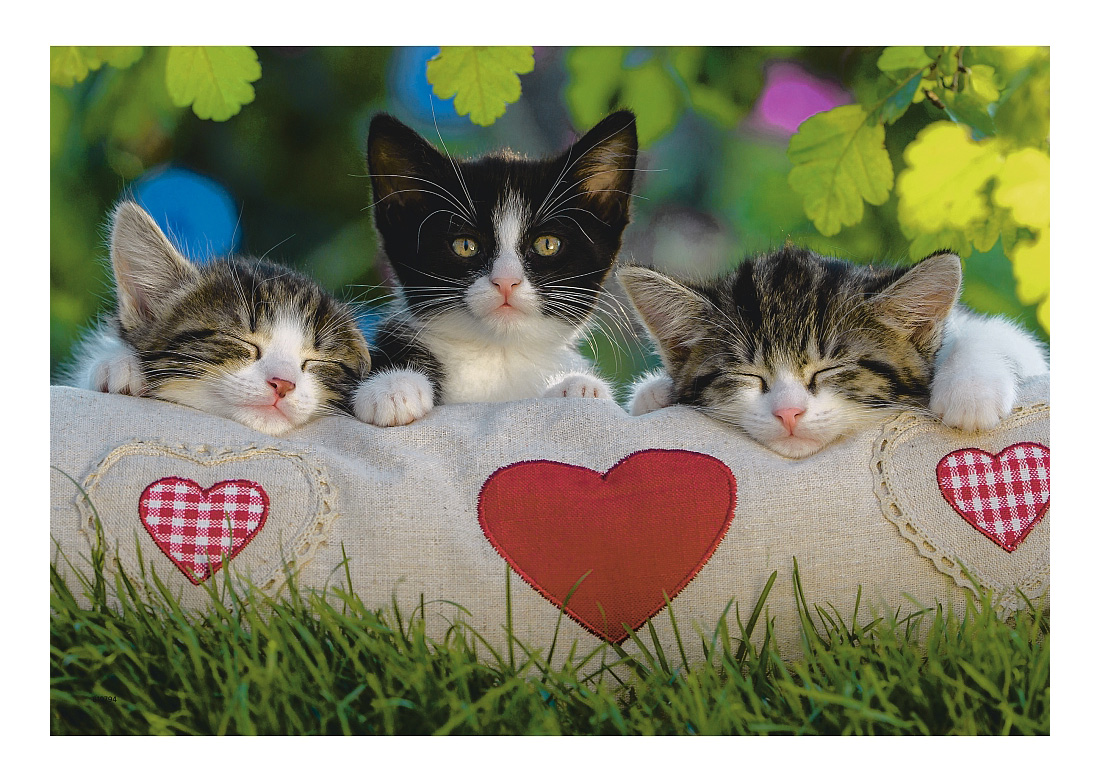 

Пазл Ravensburger кошка 24 деталей, Котята отдыхают