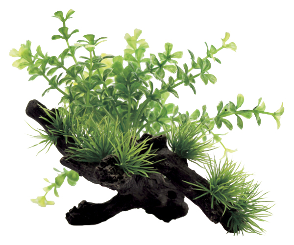 

Искусственное растение для аквариума ArtUniq Fern on driftwood 12, пластик, Fern on driftwood 12