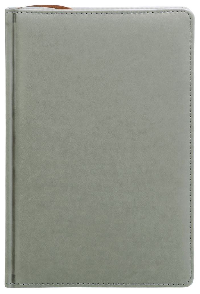 

Ежедневник INDEX IDN117/A5/GR Avanti недатированный