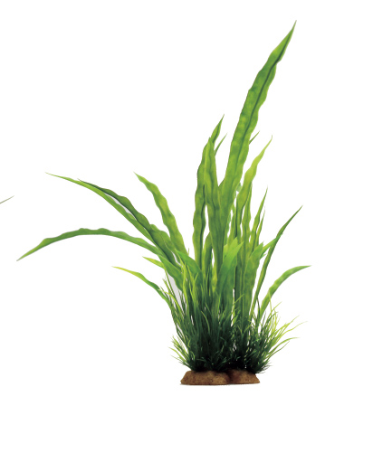 

Искусственное растение для аквариума ArtUniq Cryptocoryne crispatula mix 33, пластик, Cryptocoryne crispatula mix 33