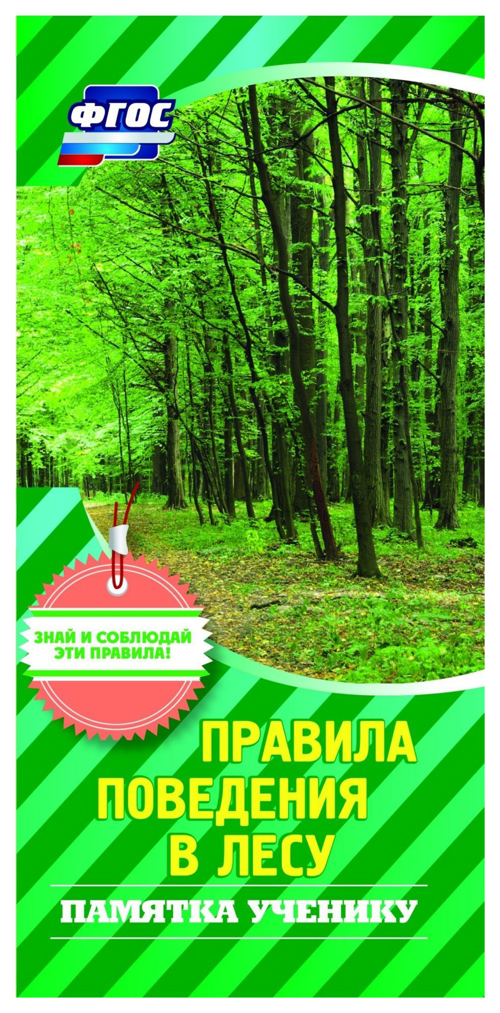 

Памятка ученику "Правила поведения в лесу"