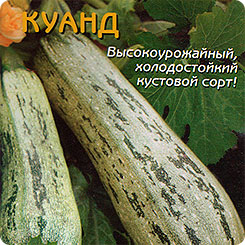 

Семена Кабачок цуккини Куанд, 10 шт, Плазмас, 53752