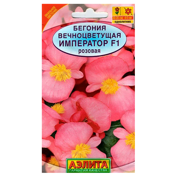 Бегония Грифон Семена Купить