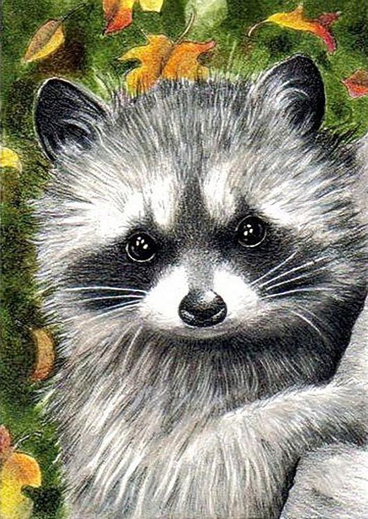 

Алмазная вышивка Гранни Осенний енот, 27x38 см, Осенний енот