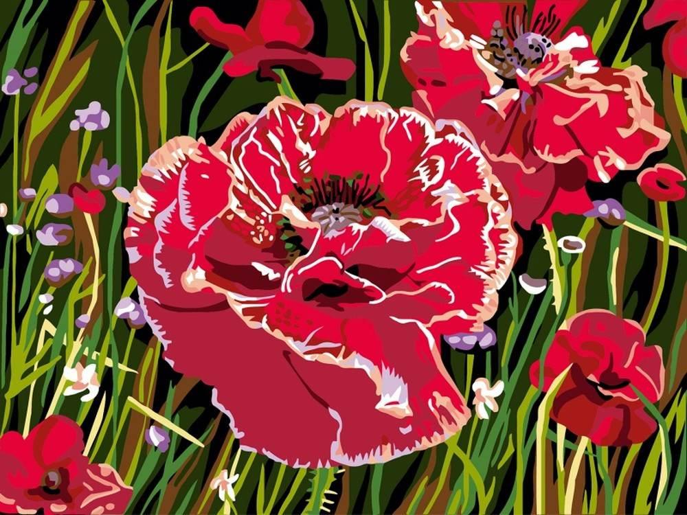 

Картина по номерам Color Kit Маков цвет, 30x40, Маков цвет