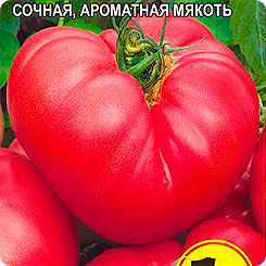 

Семена Томат Король Крупных, 0,05 г, Семена Алтая, 211415