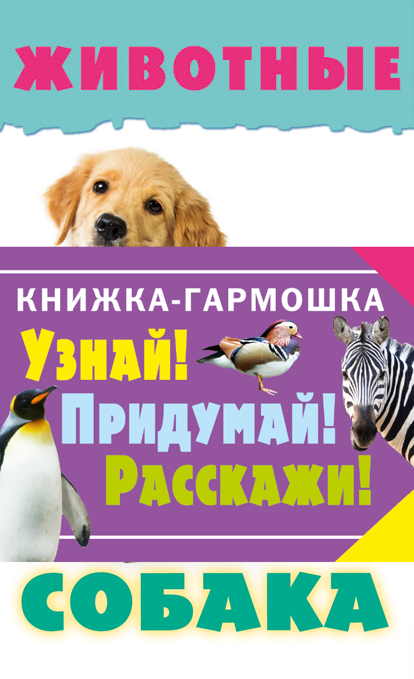 фото Книга животные аст