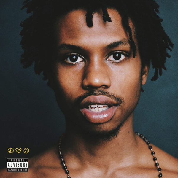 

Raury ALL WE NEED (180 Gram)