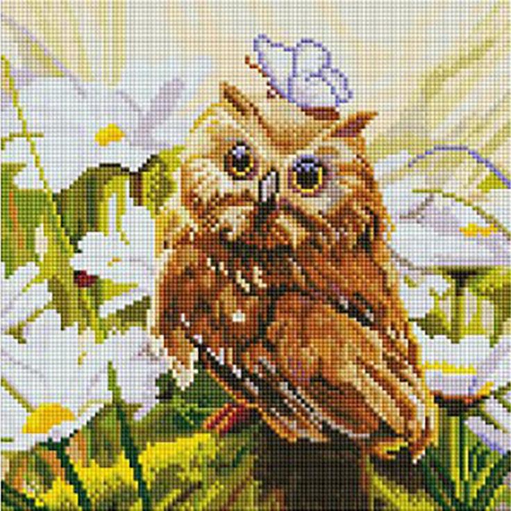

Алмазная вышивка Белоснежка Сова Везучка Елены Самарской 30x30 см, Сова Везучка Елены Самарской