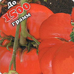 

Семена Томат Шунтукский великан, 20 шт, Биотехника, 129548