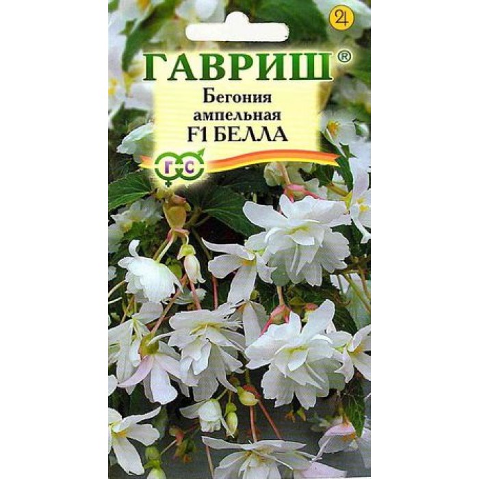 

Семена бегония Гавриш Белла F1 51895 1 уп.
