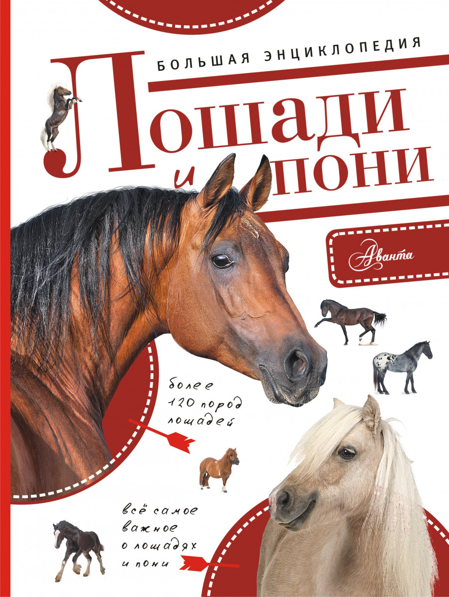 

Большая Энциклопедия, лошади и пони