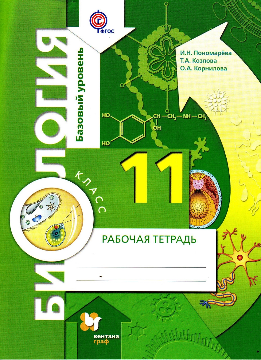 

Биология, 11 класс Базовый Уровень, Рабочая тетрадь