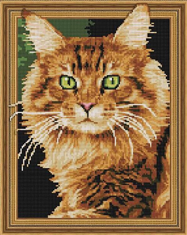 

Алмазная вышивка Molly Рыжий кот, 40x50 см, Рыжий кот
