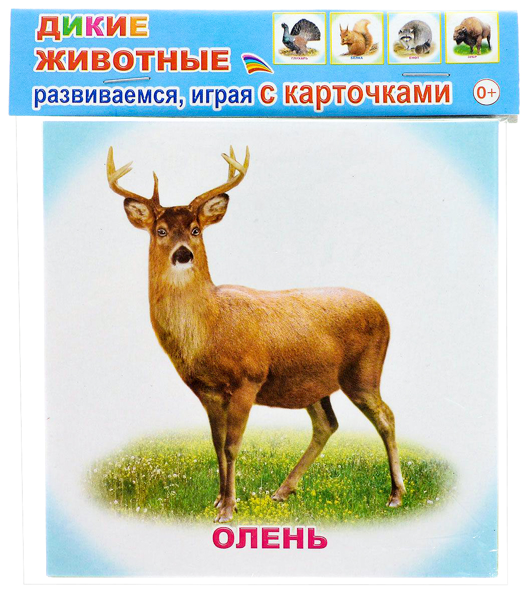 

Обучающие карточки Алфея Дикие Животные
