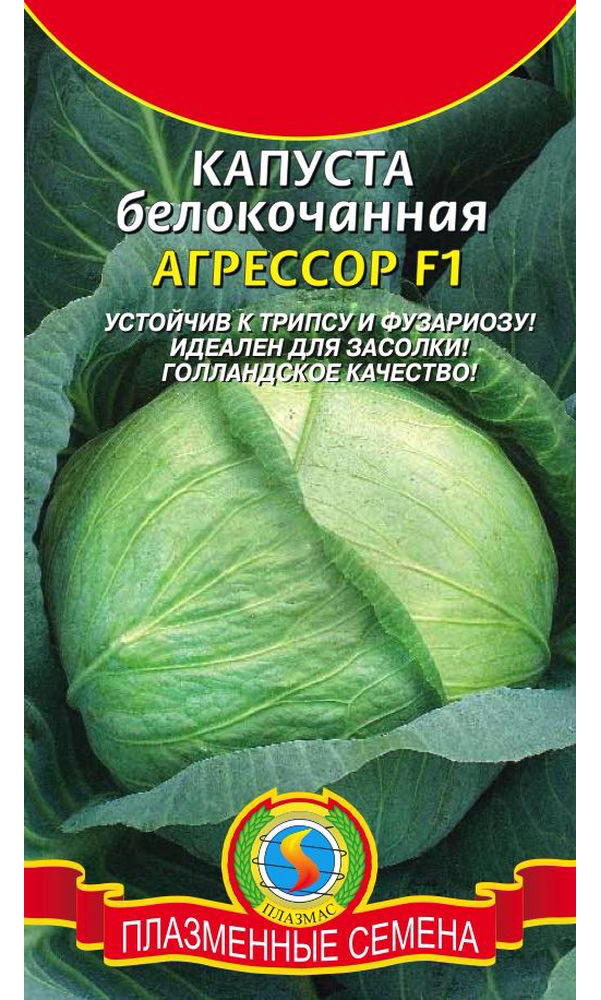 Капуста Сорт Агрессор Характеристика И Отзывы Фото