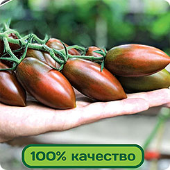 

Семена Томат черри Дюкре F1, 10 шт, Partner, 216928