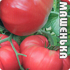 фото Семена томат машенька, 25 шт, биотехника