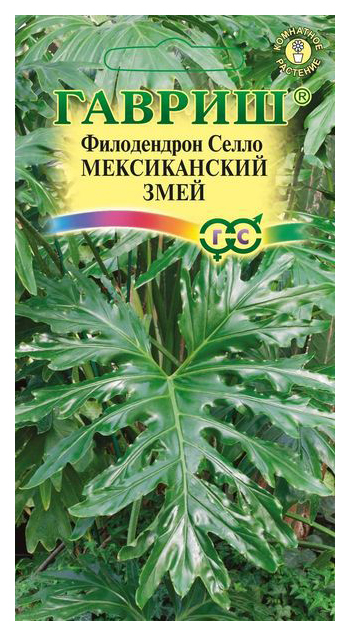 

Семена Филодендрон Селло Мексиканский змей, 5 шт, Гавриш