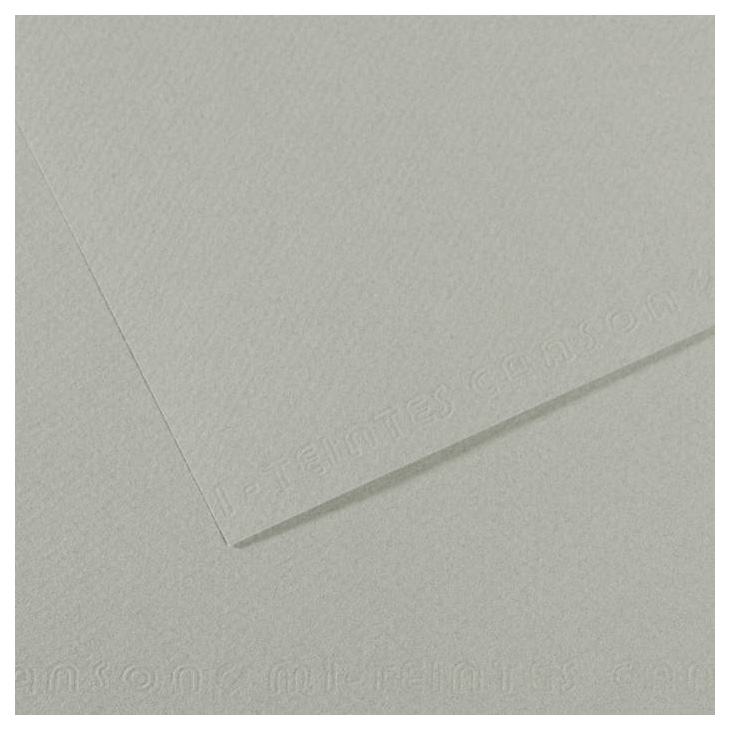 

Бумага для пастели Canson Mi-Teintes 160г/м2, 50 x 65 см, 25 листов, Серое небо, CN200331414
