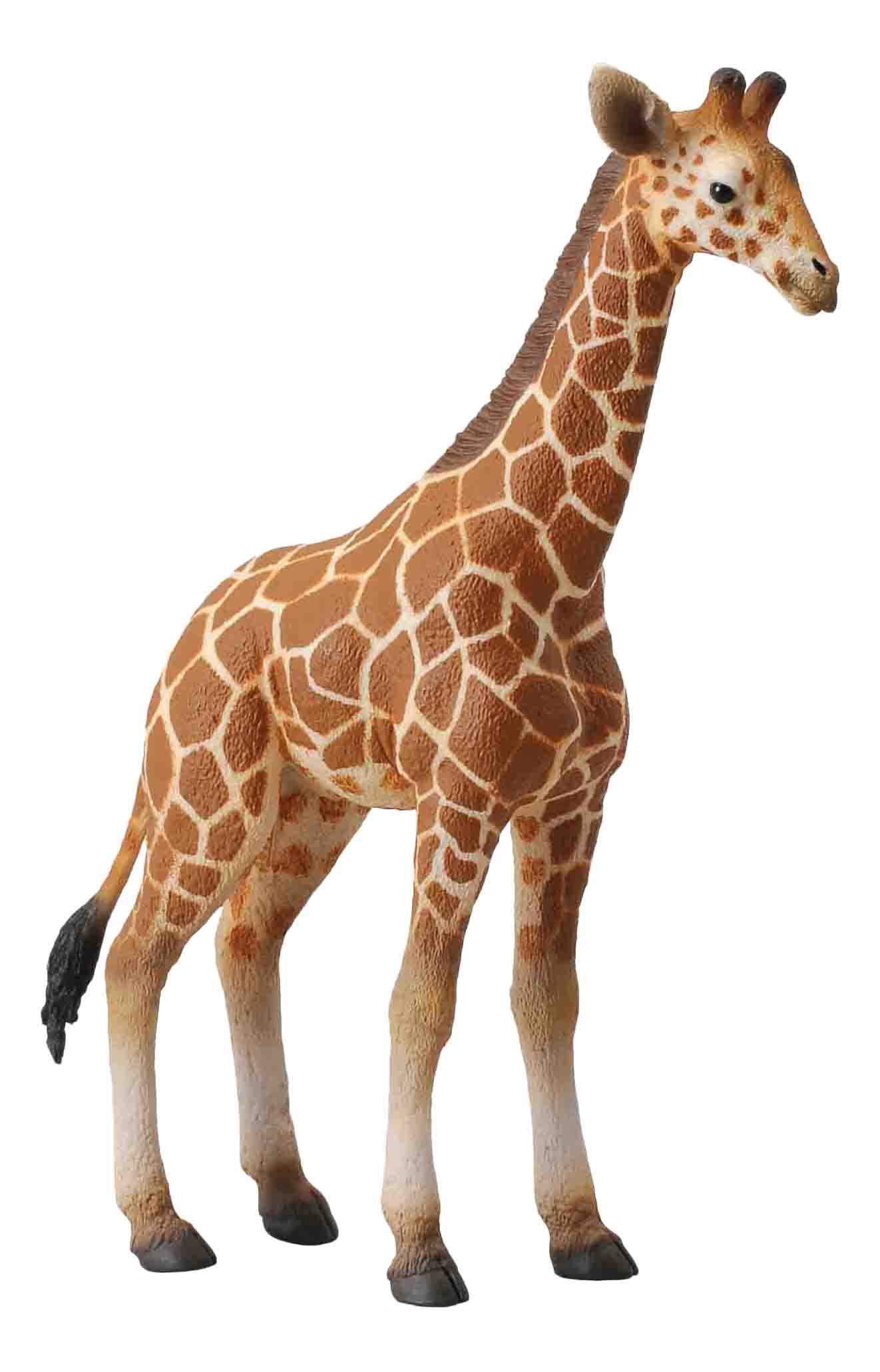 Фигурка Collecta Жеребенок сетчатого жирафа, L 88535 collecta жеребенок сетчатого жирафа блист l
