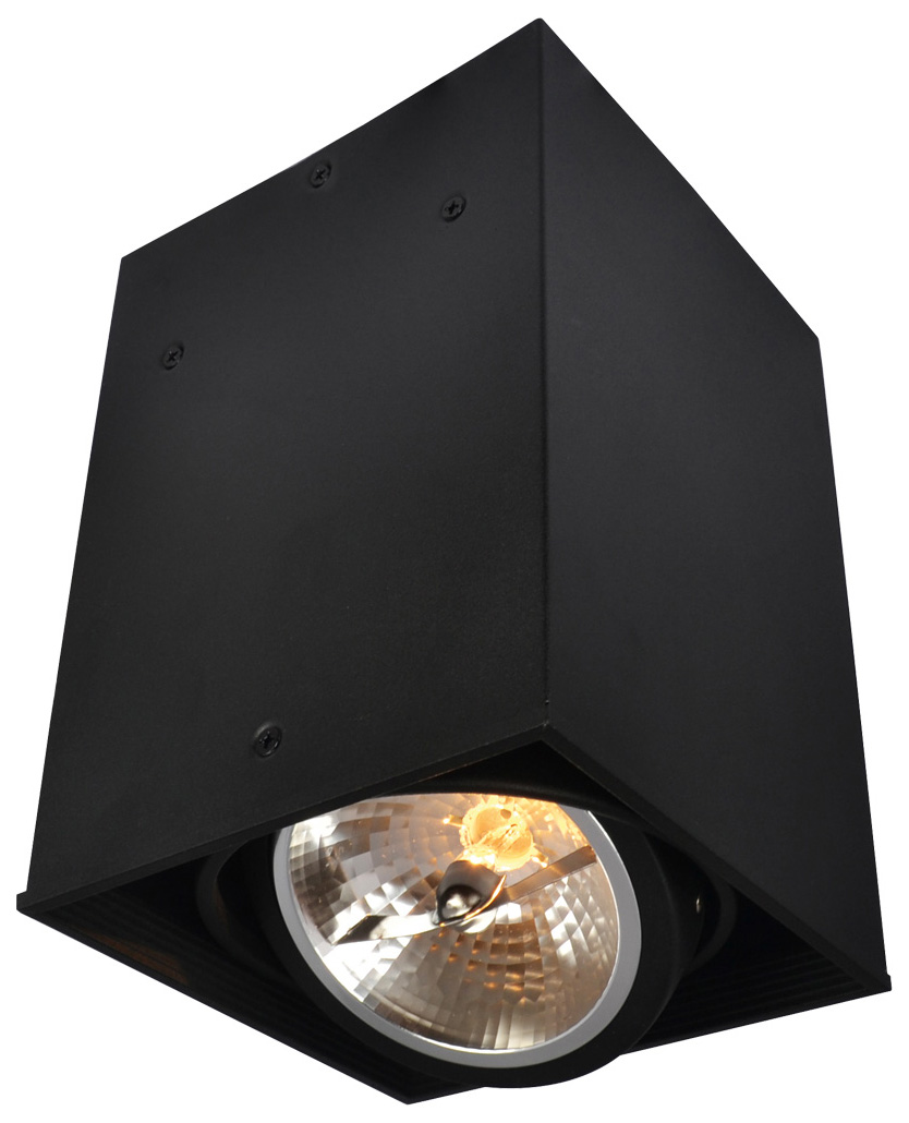 фото Потолочный светильник arte lamp cardani a5936pl-1bk