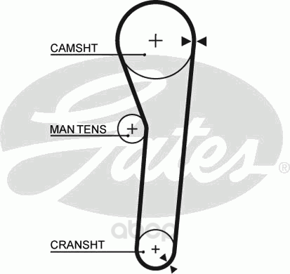 фото Ремень грм gates 5092