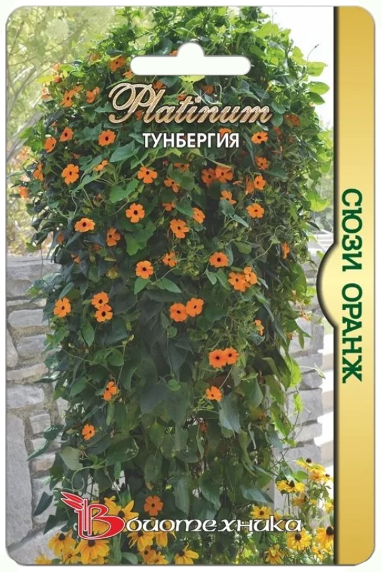 

Семена Тунбергия Сюзи Оранж F1, 6 шт, Биотехника