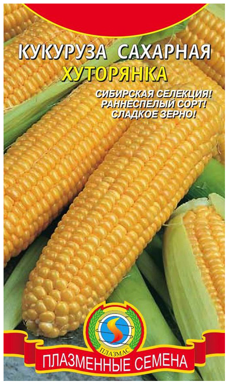

Семена Кукуруза сахарная Хуторянка, 6 шт, Плазмас