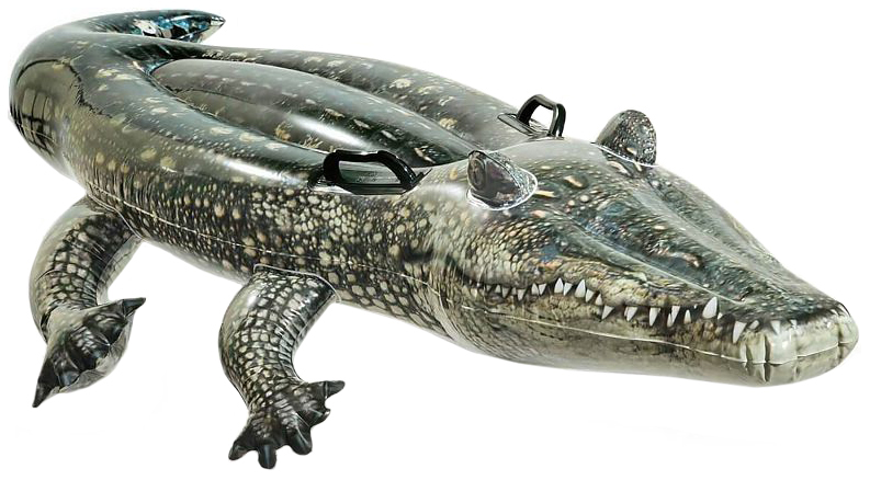 Игрушка надувная Intex Аллигатор каталка 170х86 см 57551 игрушка наездник intex крокодил 58546