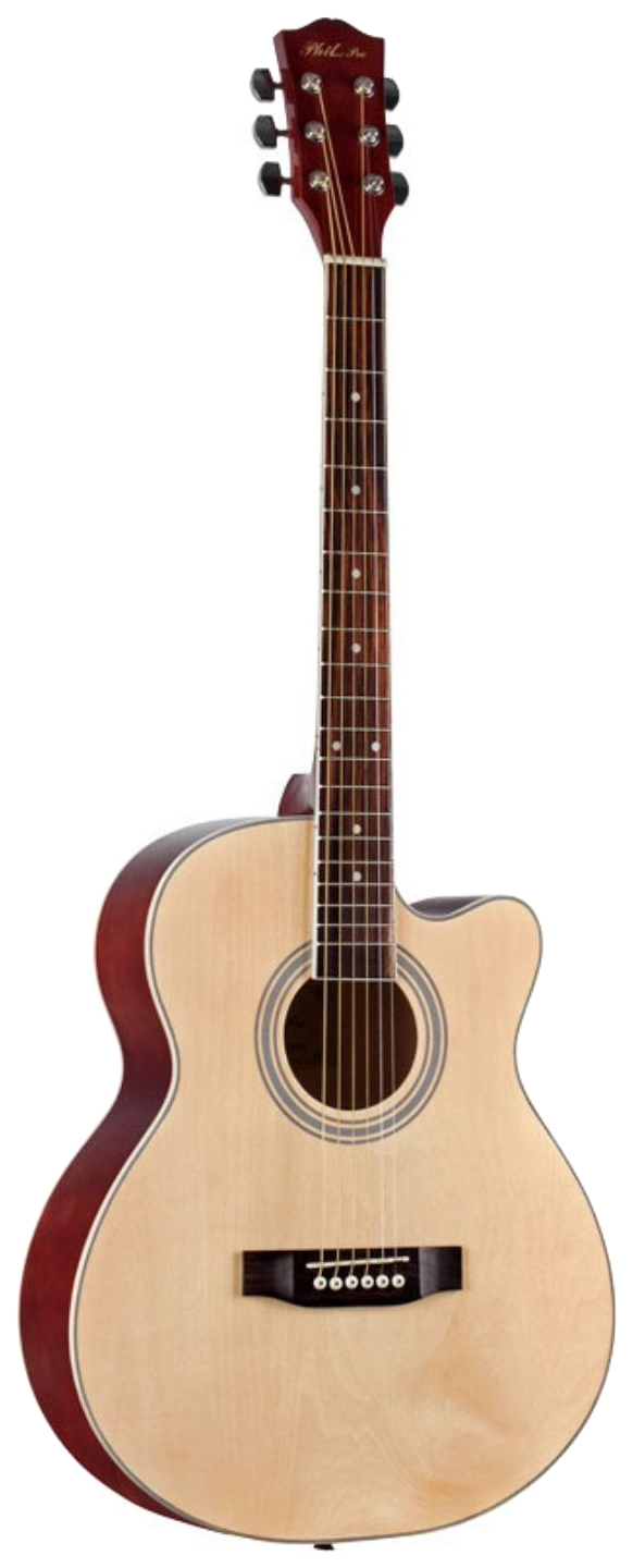 Акустическая гитара Phil Pro AS-4004 N