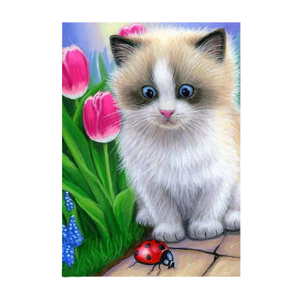 фото Набор юного художника "маленький котенок" (15 цветов) molly
