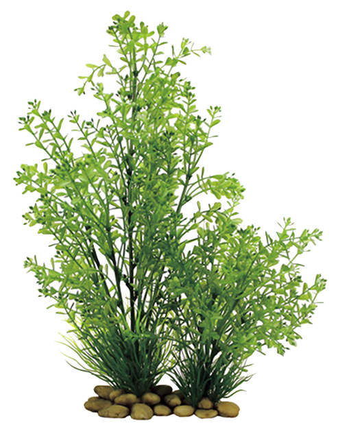 

Искусственное растение для аквариума ArtUniq Rotala 30, пластик, Rotala 30