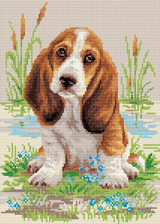 

Алмазная вышивка Риолис Малыш бассет, 27x38 см, Малыш бассет
