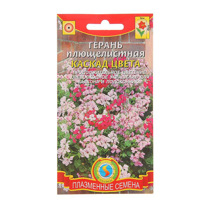 

Семена Герань плющелистная Каскад цвета, Смесь, 3 шт, Плазмас