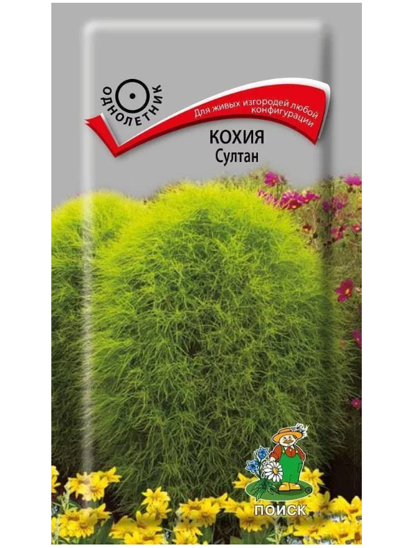 

Семена кохия Поиск Султан 188501 1 уп.