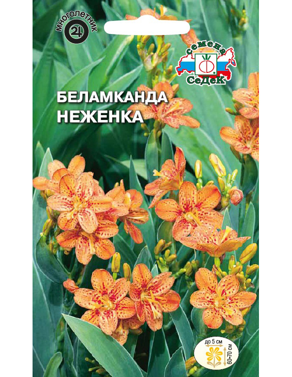 

Семена беламканда СеДеК Неженка 61658 1 уп.