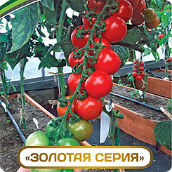 

Семена Томат черри Плаза F1, 5 шт, Partner, 217580