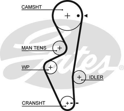 фото Ремень грм gates 5430xs